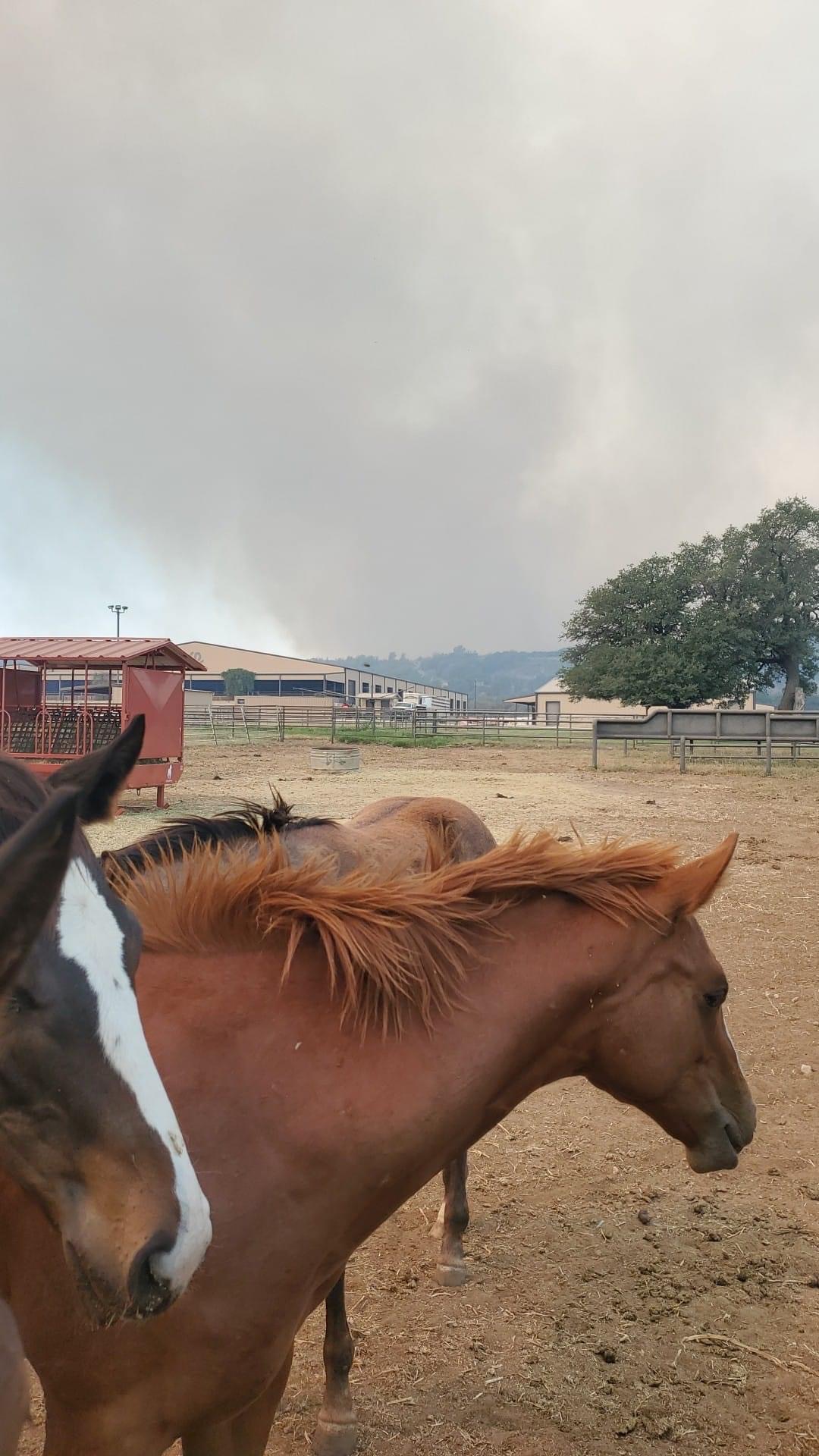 PK Lake Fires & Evacuation — field photo